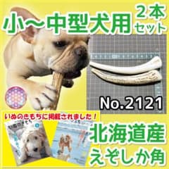 小～中型犬用 エゾ鹿の角 2本セット 北海道産 蝦夷鹿 犬のおもちゃ