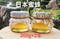 日本蜜蜂　はちみつ　プレゼント　　260g　2本 ニホンミツバチ　おしゃれのサムネイル