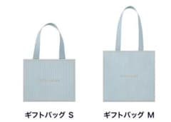 エスティーローダー ギフトバッグ S/M 水色　2枚セット　紙袋　ショッパーのサムネイル