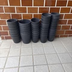 中古　プラ鉢のサムネイル