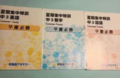 中３必勝Vコース 英語 夏期文法テキスト 全8冊セット早稲田アカデミー 早慶必勝 夏期集中特訓 中3 英数国 3冊セット早稲田アカデミー - メルカリ