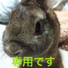 オレオ様専用のサムネイル