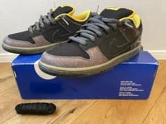 NIKE dunk sb イエローカーブ　313170-010のサムネイル