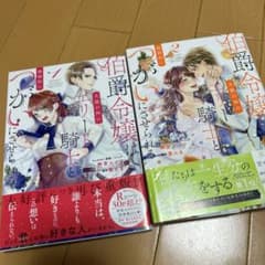 伯爵令嬢は犬猿の仲のエリート騎士と強制的につがいにさせられるのサムネイル