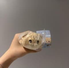 LIL ala mode リルアラモード ねそべりぬいぐるみ ラテのサムネイル