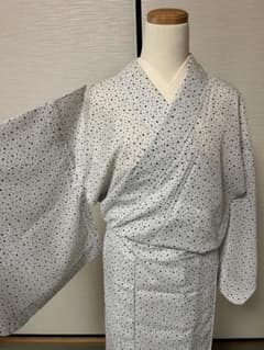 裄63 正絹 三本絽 江戸小紋 着物 白地 紺色 水玉 ドット柄 - メルカリ