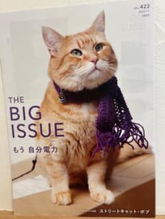 THE BIG ISSUE 日本版 4冊セット