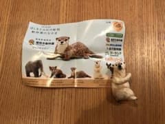 まろん様専用♡はしもとみおの彫刻　ガチャ　ホッキョクグマセットのサムネイル