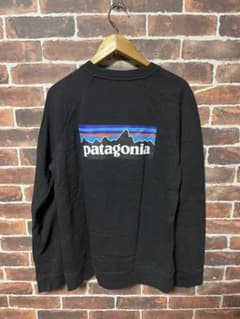 patagonia オーガニックコットン スウェット Mのサムネイル