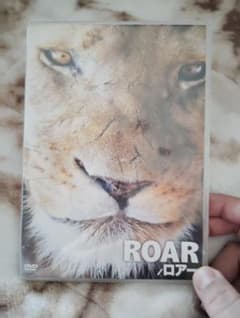ROAR/ロアー DVDのサムネイル