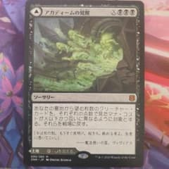 アガディームの覚醒　日本語1枚のサムネイル