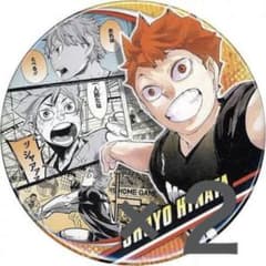 ハイキュー 日向翔陽 コレクション 缶バッジ memories 2個セットのサムネイル