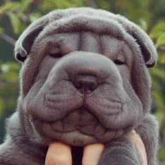 mtさま せんよーのサムネイル