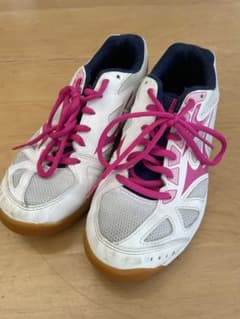 MIZUNO バレーボールシューズ　24.0センチのサムネイル