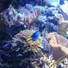 さみ様専用のサムネイル
