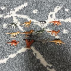 恐竜 ミニフィギュア 13体セットのサムネイル
