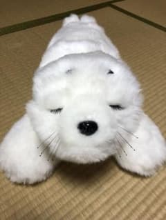 PARO パロ　アザラシのサムネイル