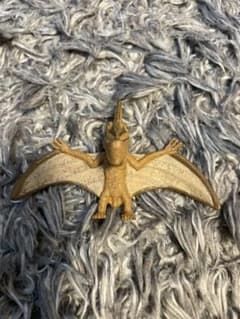 シャクレルダイナソーのサムネイル