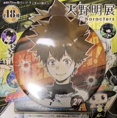 ☆ 天野明展 リボーン REBORN! コレクション缶バッジA 沢田綱吉 ツナ