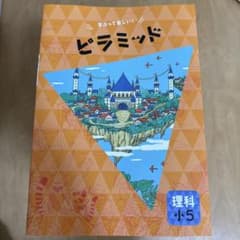 ビラミッド 理科 小5　早稲田アカデミーのサムネイル