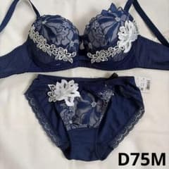 ワコール サルート ブラジャー ショーツ D75M - メルカリ