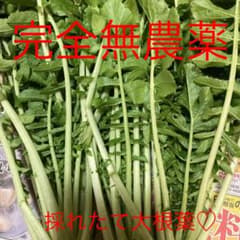 2月5日の20時30分収穫　大根の葉っぱ　大根葉♡のサムネイル