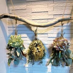 ドライフラワー 秋色紫陽花とミモザの流木のガーランド - メルカリ
