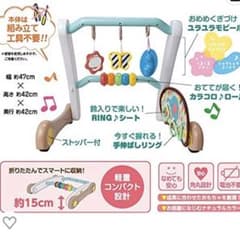 うちの赤ちゃん世界一 (R) スマート知育ジムのサムネイル
