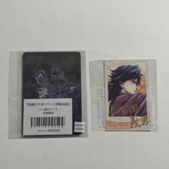 Demon Slayer: Kimetsu no Yaiba ufotable Infinity Castle Arc Tomioka Giyu Hard Case Instax-style Bromide