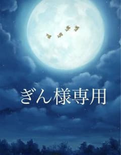ぎん様専用 ロープチェーンのサムネイル