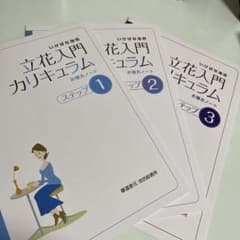 いけばな池坊 立花入門カリキュラム - メルカリ