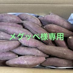 メグッペさま専用のサムネイル