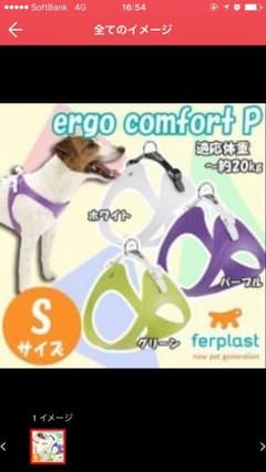 ZENちゃんず様用のサムネイル