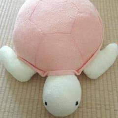 ウミガメのぬいぐるみ カメのサムネイル