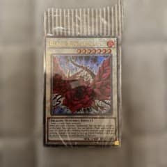 遊戯王 ブラックローズドラゴン 英語版　未開封　25thのサムネイル