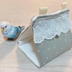 バードテント #6のサムネイル