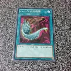 ハーピィの羽根帚のサムネイル