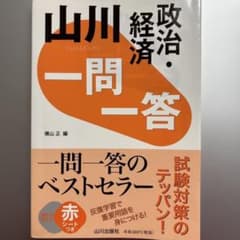 山川 一問一答 政治・経済のサムネイル