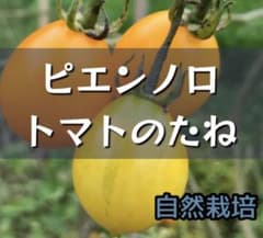 ピエンノロトマト（黄）の種 15粒のサムネイル