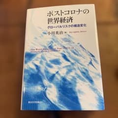 ポストコロナの世界経済 : グローバルリスクの構造変化のサムネイル