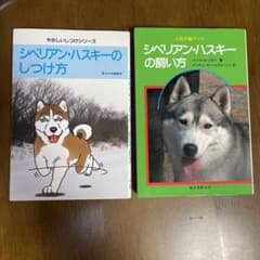 シベリアン・ハスキー大百科 J.バレリーノ　愛犬家 専門書 実用書 m93961880461_1.jpg?1716198091