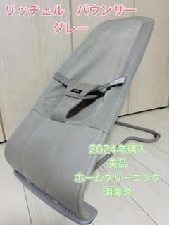 Richell バウンサー グレーのサムネイル