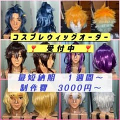 制作費3000〜 】コスプレウィッグオーダー受付ページ - メルカリ