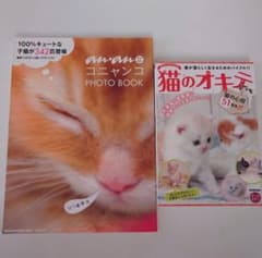 【猫本2冊セット】コニャンコPHOTO BOOK/猫のオキテのサムネイル