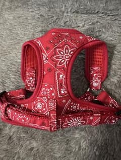 赤いバンダナ柄犬用ハーネスのサムネイル