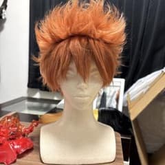 REBORN 沢田綱吉 コスプレ ウィッグ - メルカリ