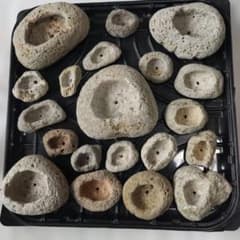 手作り 軽石鉢20個セット 盆栽 寄せ植え 山野草① - メルカリ