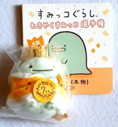Lizard (real) Mini-Cho Championship palm-sized plush toy with mini book