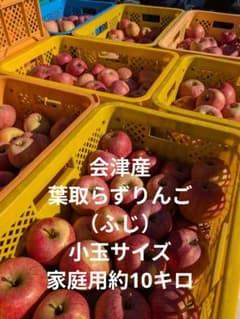 会津産　葉取らずりんご小玉サイズ家庭用約10キロのサムネイル