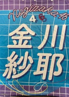 金川紗耶 フード付きタオルのサムネイル
